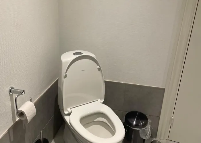 Romersgaard بادبورغ